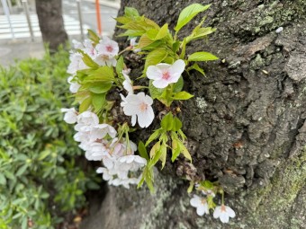 f3a0cc8e5eb9e5dcd11e66676831ba52